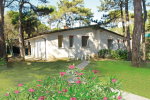 Villa Elena