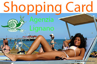 LTL Shopping Card